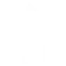 Flame_Icon_White.png